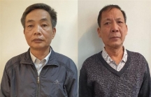 Bắt nguyên Tổng giám đốc và 2 thành viên HĐTV Tổng công ty Chè Việt Nam