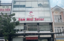 Dự án điện mặt trời của Tập đoàn Sao Mai gặp khó