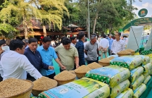 Tập đoàn Lộc Trời cam kết hỗ trợ hơn 1.000 đại lý và nông dân Đồng bằng sông Cửu Long