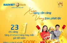 Xuân sang rộn ràng, vàng trao phát lộc cùng BAOVIET Bank