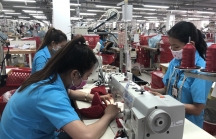 Thị trường lao động Khánh Hòa sôi động sau Tết