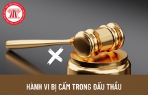 Công ty Đại Cát ở Quảng Trị bị cấm thầu vì cung cấp thông tin không trung thực