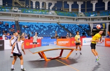 Hơn 50 quốc gia dự Giải thi đấu Quốc tế Teqball 2024 tại Bình Định