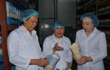 Chân dung “nữ tướng” làm khu sản xuất nấm công nghệ cao đầu tiên tại Việt Nam