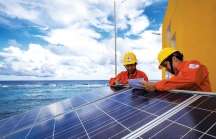 Điện mặt trời - “Miếng mồi” ngon cho các nhà đầu tư