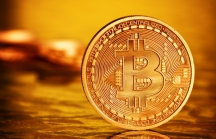 Giá Bitcoin ngày 27/11: Vươn lên cột mốc 9.480 USD