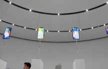 Ra mắt iPhone X Plus, Apple có thể ngừng bán iPhone X và iPhone SE trong năm nay