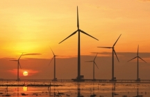 Nhà đầu tư nước ngoài 'chê' mức giá điện gió Việt Nam