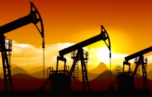 Giá dầu tăng do OPEC gia hạn cắt giảm sản lượng đến cuối năm