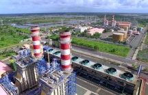 Tổng Công ty Điện lực Dầu khí Việt Nam dự kiến chuyển sàn HOSE vào đầu năm 2019