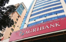 Agribank lãi lớn trước thềm cổ phần hóa