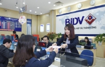 BIDV dự kiến phát hành hơn 603,3 triệu cổ phần cho KEB Hana Bank