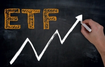 VNM ETF trở lại mua ròng tuần qua (10/11-16/11), nhưng bán ròng 7,9 triệu cổ phiếu VCG