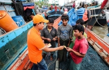 Viettel muốn đạt 10 triệu thuê bao tại Myanmar