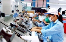 Vai trò doanh nhân FDI trong tiến trình hội nhập của Việt Nam