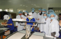 Hà Nội: Đầu tư nhà máy chế biến trứng trên 100 tỷ đồng