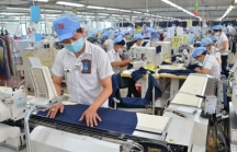 Báo Nhật khen Việt Nam ngoại giao 'đầy khéo léo' khi ủng hộ TPP-11