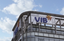 Ngân hàng VIB: 6 tháng báo lãi 380 tỷ đồng, tăng 25%