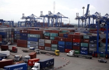 Bí ẩn vụ ‘mất tích’ hơn 200 container