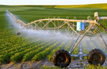 Tín dụng cho nông nghiệp công nghệ cao còn nhiều rào cản