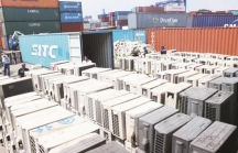 Điều tra, xử lý nghiêm vụ 213 container hàng hóa không xuất cảnh
