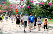 Hơn 1 triệu lượt khách quốc tế đến Việt Nam trong tháng 8