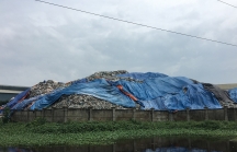 Doanh nghiệp FDI kêu cứu vì ô nhiễm từ bãi rác Tâm Sinh Nghĩa