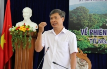 Vingroup, TH đang xem xét đầu tư 16.000 tỷ đồng trồng sâm Ngọc Linh