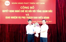 Sếp tổng nghỉ hưu, Ngân hàng Phát triển Việt Nam có CEO mới