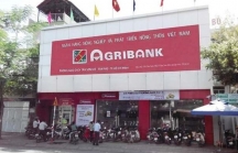 Agribank 9 tháng: Xử lý nợ xấu còn thấp do công tác thi hành án thu hồi nợ chậm