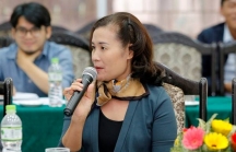 Phó tổng Ernst & Young Việt Nam: Ra chính sách tháo gỡ cho doanh nghiệp nhưng thực thi lại 'quá nhẫn tâm'