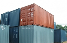 Phó Thủ tướng Trương Hoà Bình: Làm rõ hành vi vi phạm của các đối tượng liên quan vụ 213 container 'mất tích'