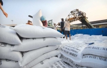 Sri Lanka mời thầu quốc tế nhập khẩu 200.000 tấn gạo