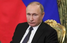 Tổng thống Putin chỉ đạo hỗ trợ Việt Nam 5 triệu USD chống bão