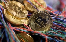 Bitcoin tỏa sáng trở lại, chạm ngưỡng 8.000 USD