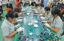 Việt Nam học được gì từ chiến lược tăng năng suất lao động của Ailen?