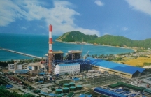 Giải pháp cấp bách bảo vệ môi trường ở Formosa Hà Tĩnh