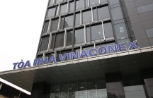 Chào bán cổ phần Vinaconex, SCIC dự kiến thu về 2.464 tỷ đồng