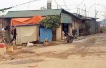 Chủ tịch Hà Nội: 'Xã hội đen' lấn chiếm đất bãi sông Hồng, xây nhà bán