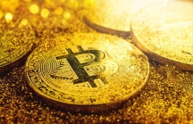 Bitcoin ngày 29/11: Chinh phục mốc giá 10.000 USD
