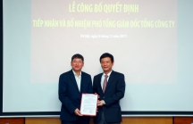 PVC bổ nhiệm ông Nguyễn Thanh Bình giữ chức Phó Tổng giám đốc