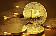 Giá Bitcoin ngày 8/12: 'Cơn điên' chưa dứt, Bitcoin phá kỷ lục 19.000 USD