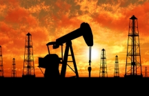 Cổ phiếu họ dầu khí: ‘Nín thở’ chờ giờ mở cửa