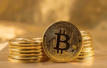 Giá Bitcoin ngày 11/12: Lấy lại phong độ, gần chạm mức 16.000 USD