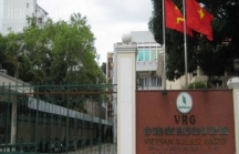 Khởi tố 5 lãnh đạo Tập đoàn Công nghiệp Cao su Việt Nam