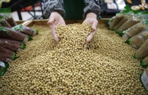 Trung Quốc và tham vọng thâu tóm nông nghiệp thế giới