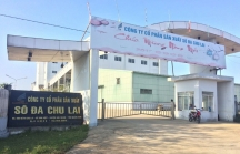 Nhà máy Soda Chu Lai ngừng hoạt động: 2.000 tỉ đồng vay ngân hàng nguy cơ thành nợ xấu