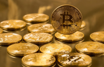Giá Bitcoin ngày 10/1: 'Bay' 20 tỷ USD chỉ trong một đêm