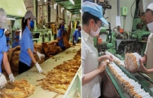 Bộ Công Thương đề nghị cho nhập máy sản xuất thuốc lá từ Trung Quốc