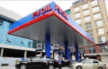 PTT của Thái, Shell muốn mua 49% cổ phần của PV Oil